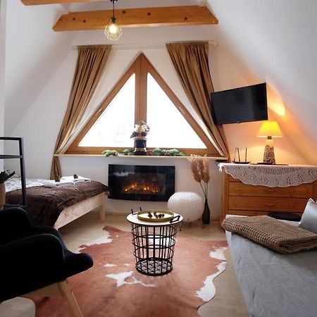 Apartament Ryllowka Z Widokiem Na Gory 자코파네 외부 사진