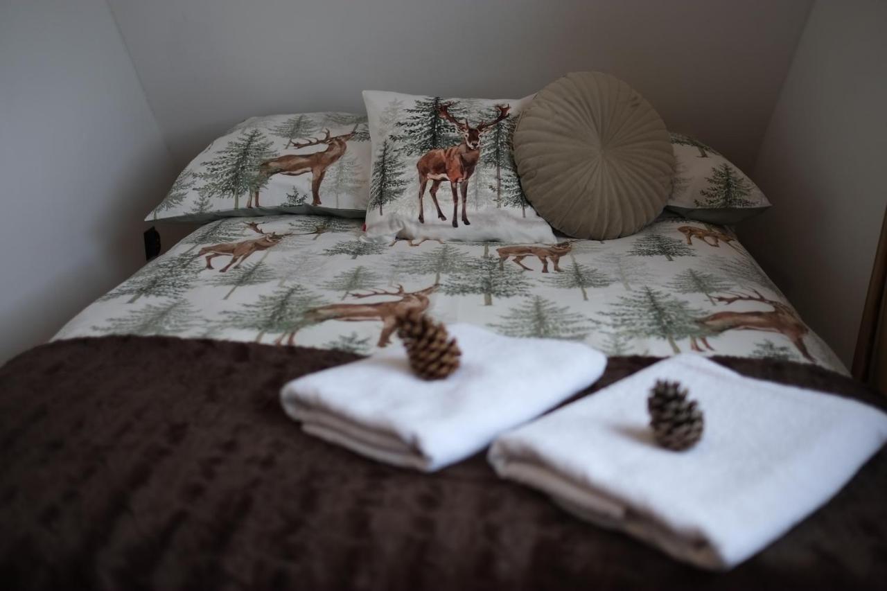 Apartament Ryllowka Z Widokiem Na Gory 자코파네 외부 사진