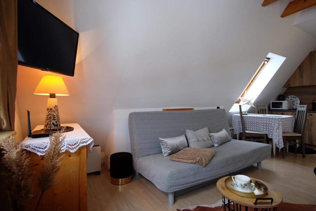 Apartament Ryllowka Z Widokiem Na Gory 자코파네 외부 사진