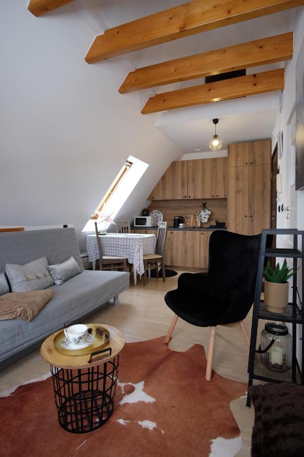 Apartament Ryllowka Z Widokiem Na Gory 자코파네 외부 사진